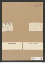 Chaetoceros wighamii Brightw. (de-Toni-Nr.: Genus 149, Species 4105) Zeichnungen Sammlung Grunow Nr. 7641 (NHMW-BOT-W0376824)